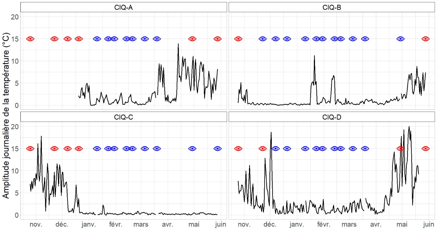 Figure 7. Amplitude journalière des températures au niveau des 4 collecteurs