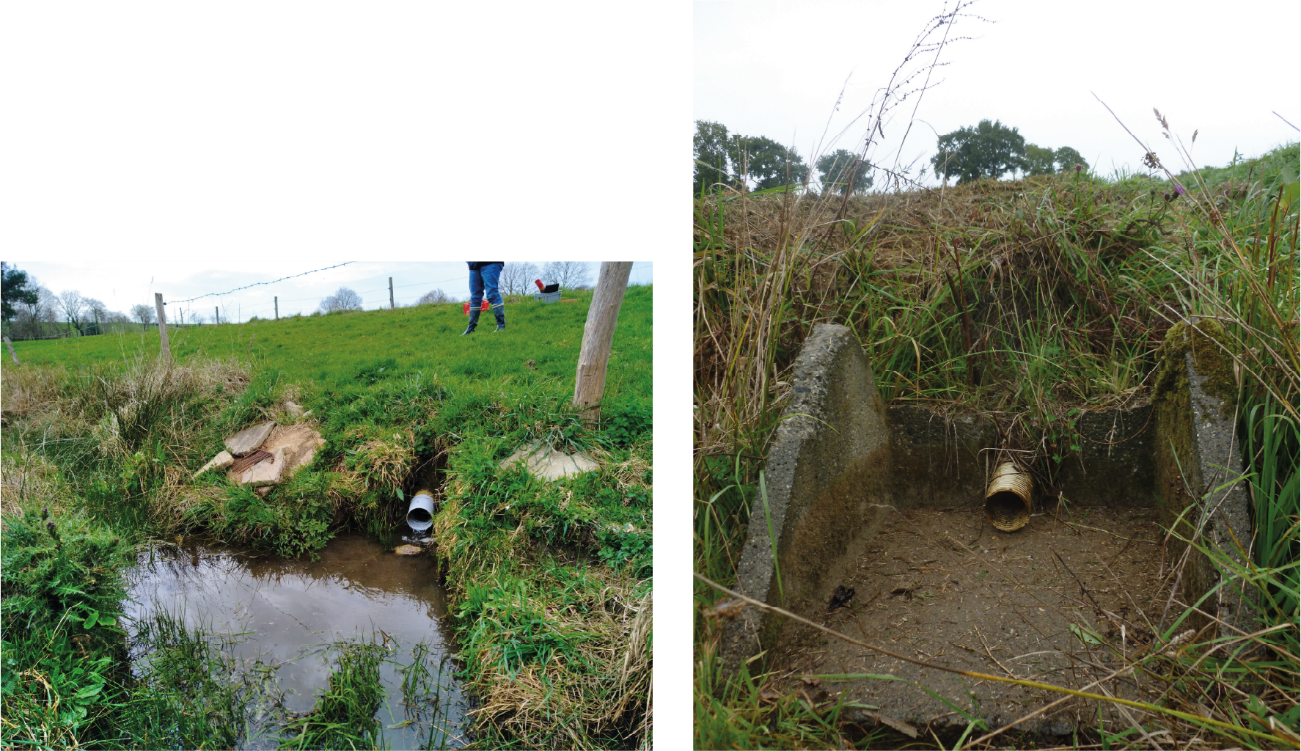 Figure 2. Photos de deux sorties de collecteurs de drains