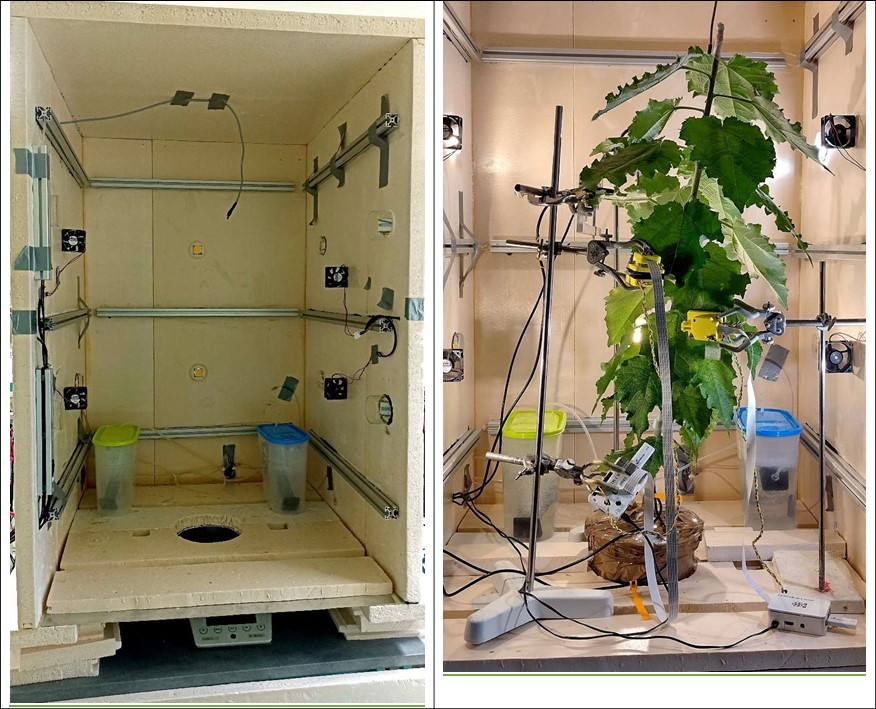 Figure 2. Photos de la Live-Box (@Cartailler J.)