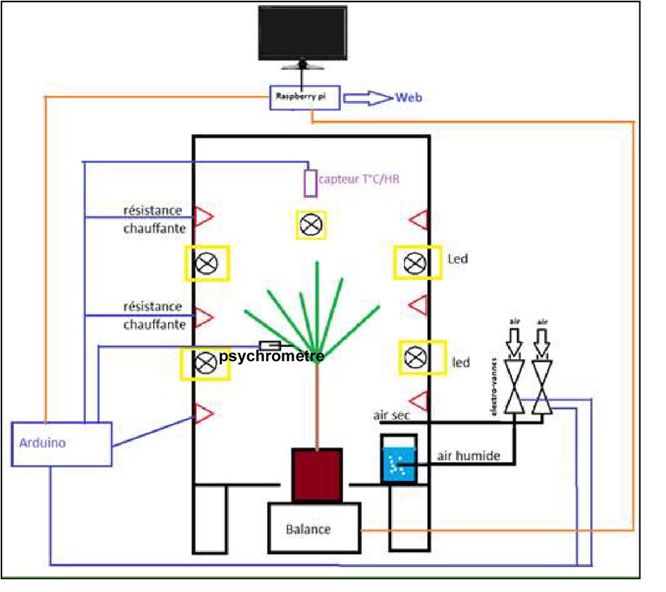 Figure 1. Schéma de la Live-Box (@Cartailler J.)