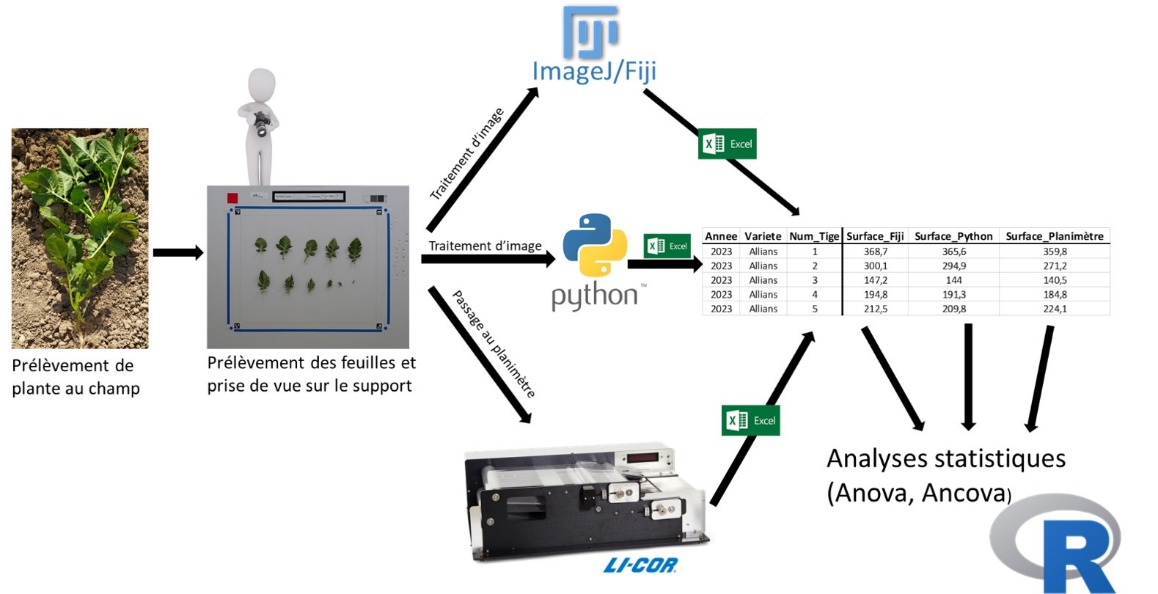 Une image contenant texte, diagramme, capture d’écran, conception Le contenu généré par l’IA peut être incorrect.