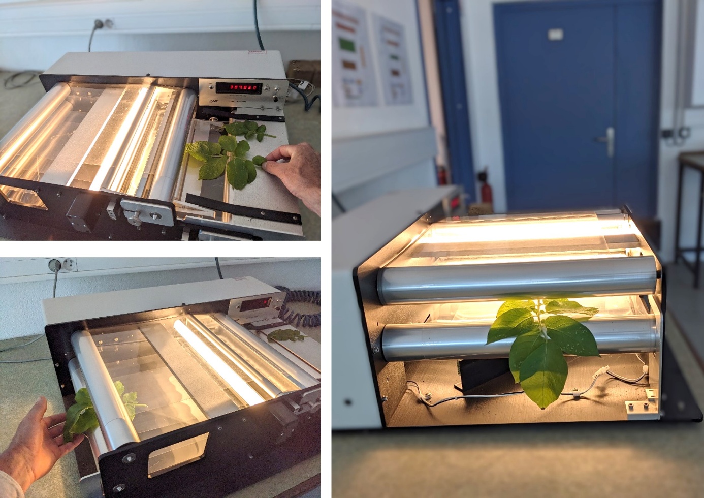 Une image contenant intérieur, sol, mur, fenêtre Le contenu généré par l’IA peut être incorrect.