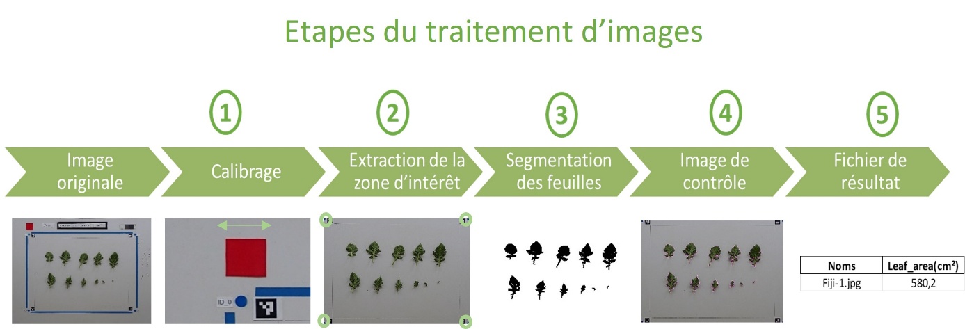 Une image contenant texte, capture d’écran, Police Le contenu généré par l’IA peut être incorrect.