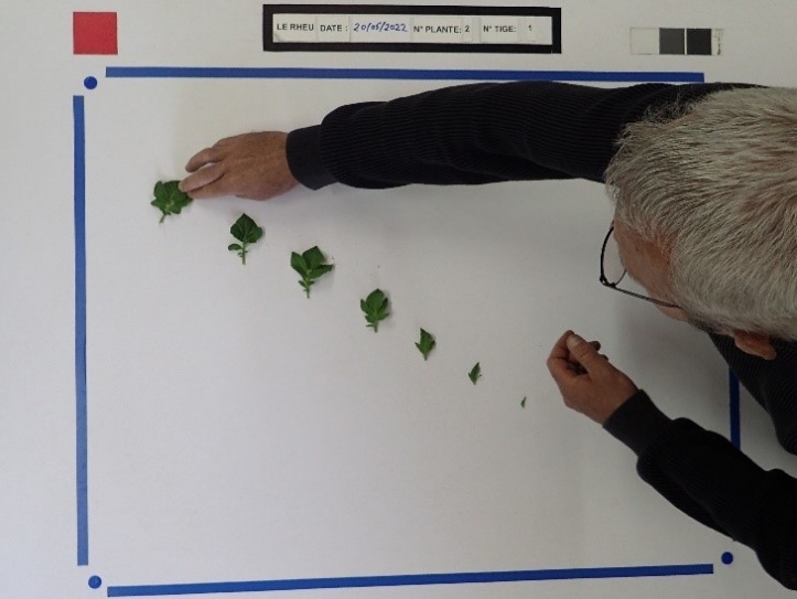 Une image contenant texte, tableau blanc, personne, écriture manuscrite Le contenu généré par l’IA peut être incorrect.