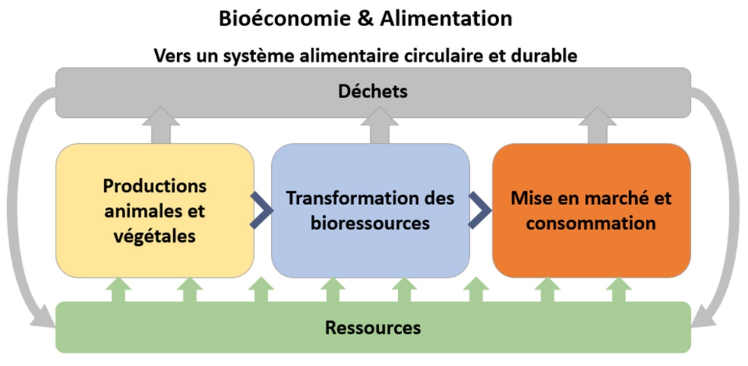 Une image contenant texte, capture d’écran, Police, conception Le contenu généré par l’IA peut être incorrect.