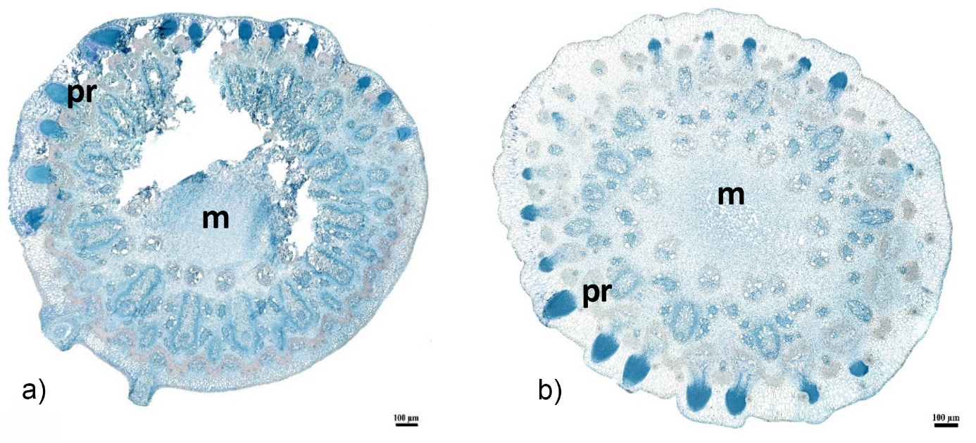 Une image contenant cercle, art Le contenu généré par l’IA peut être incorrect.