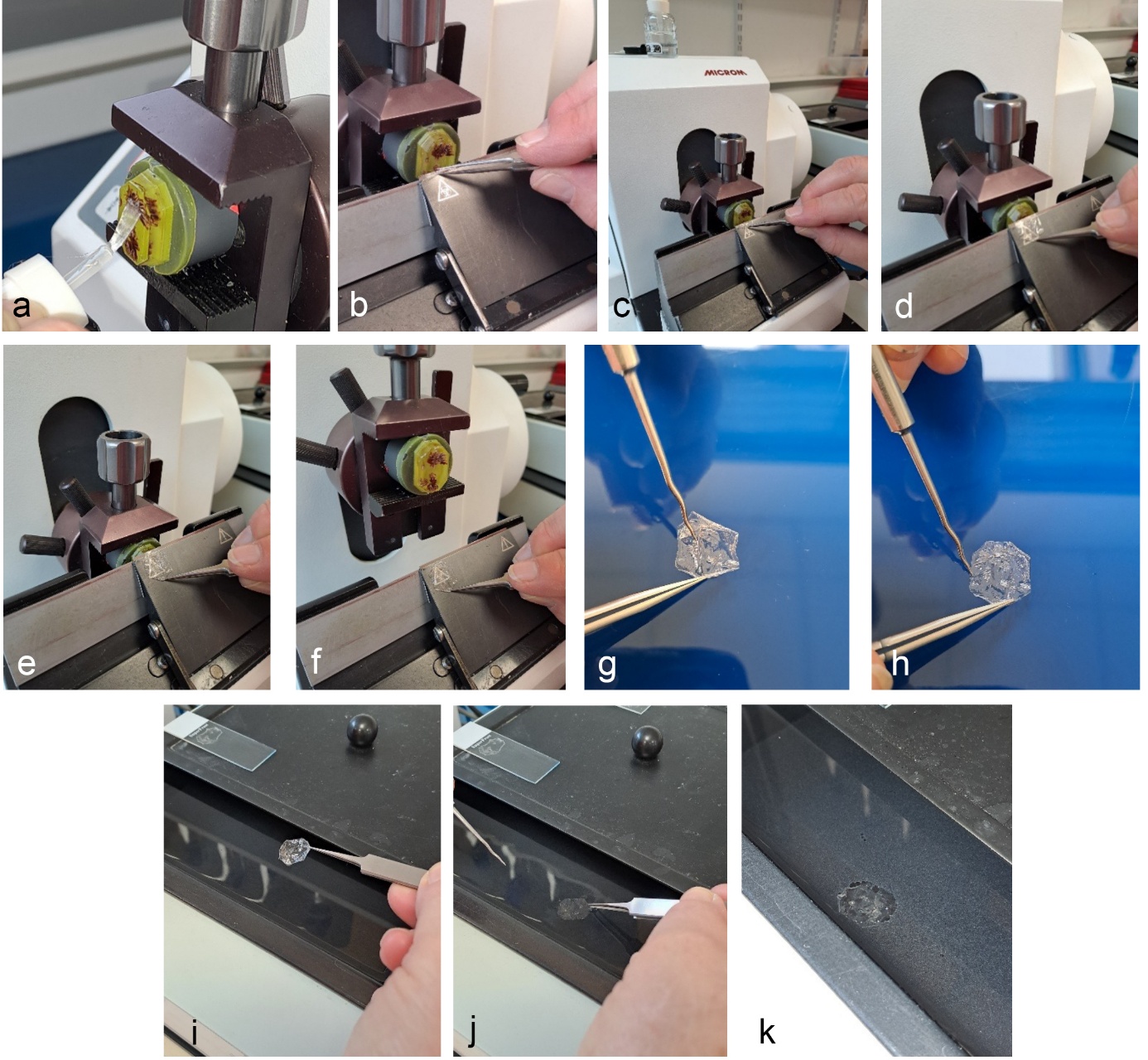 Une image contenant personne Le contenu généré par l’IA peut être incorrect.