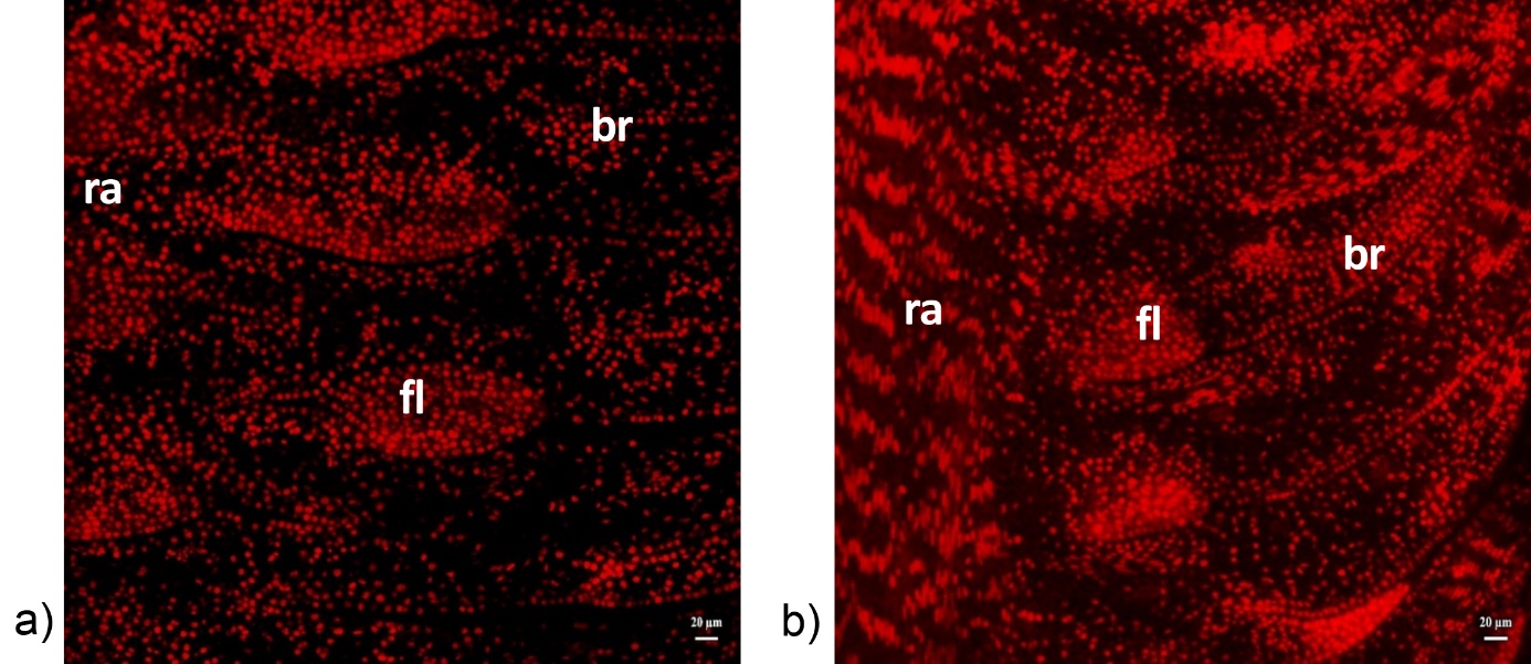 Une image contenant capture d’écran, Marron, rouge, art Le contenu généré par l’IA peut être incorrect.