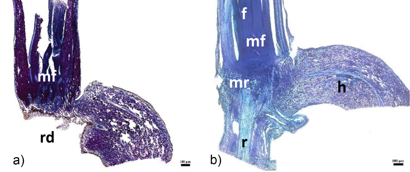 Une image contenant croquis, Dessin d’enfant, dessin, art Le contenu généré par l’IA peut être incorrect.