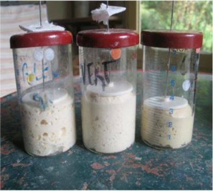 Une image contenant intérieur, laitier, Conteneurs de stockage alimentaire, lait Le contenu généré par l’IA peut être incorrect.