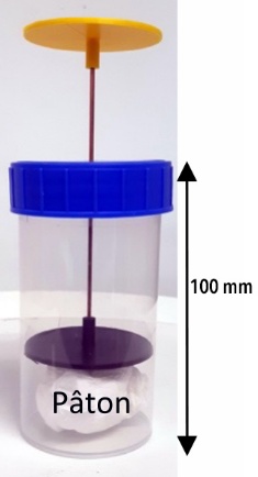 Une image contenant conception Le contenu généré par l’IA peut être incorrect.
