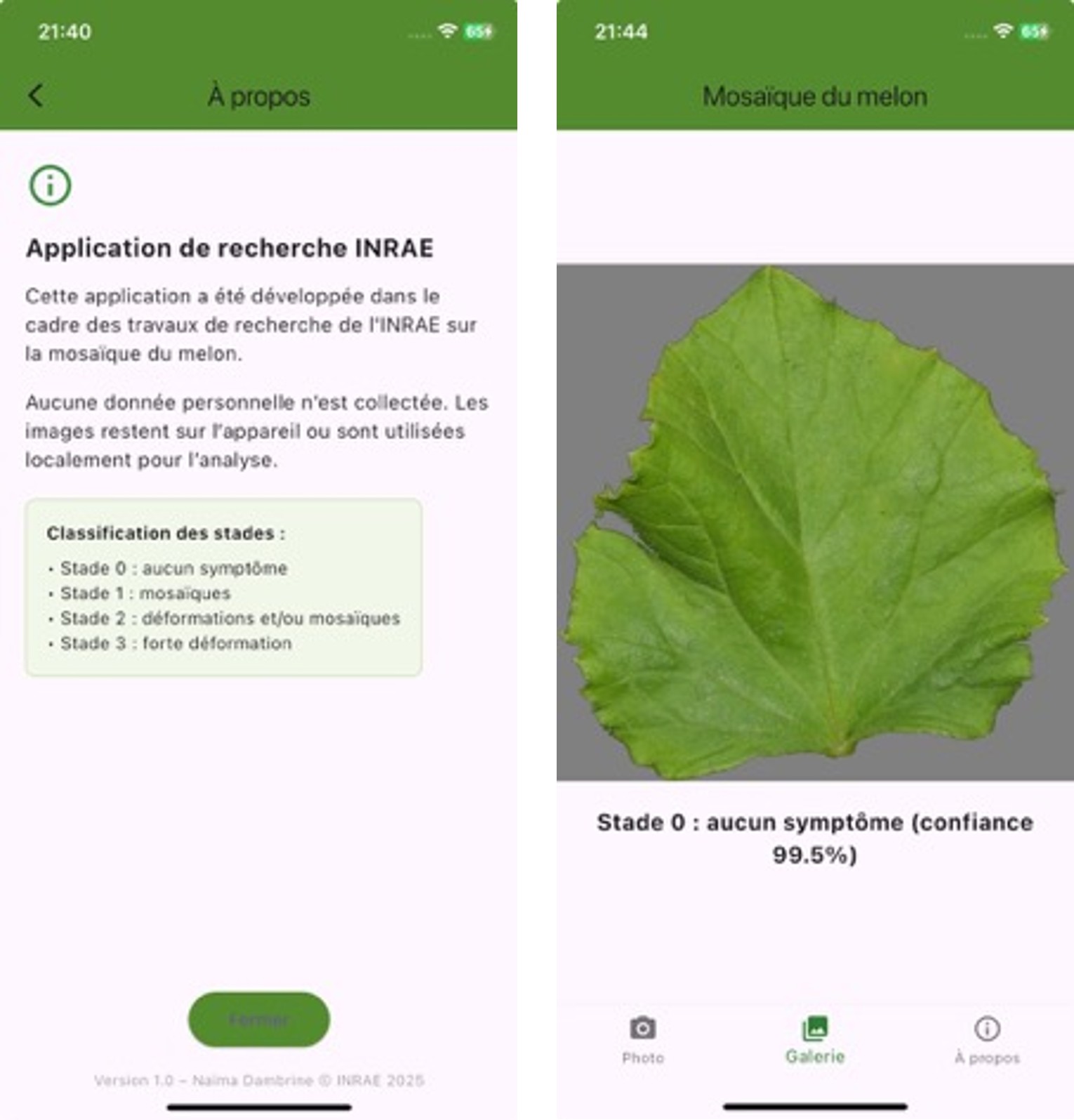 Une image contenant texte, légume, capture d’écran Le contenu généré par l’IA peut être incorrect.